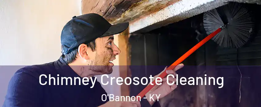 Chimney Creosote Cleaning O'Bannon - KY