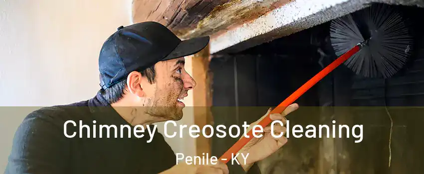 Chimney Creosote Cleaning Penile - KY