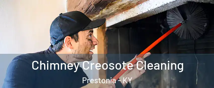 Chimney Creosote Cleaning Prestonia - KY