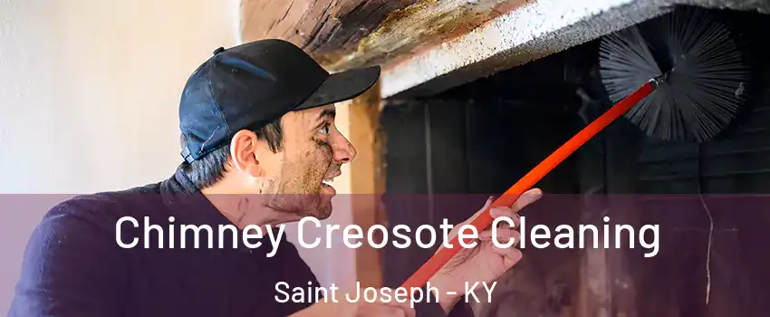 Chimney Creosote Cleaning Saint Joseph - KY