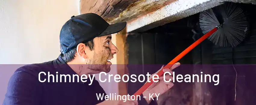 Chimney Creosote Cleaning Wellington - KY
