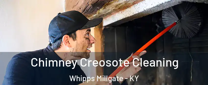 Chimney Creosote Cleaning Whipps Millgate - KY