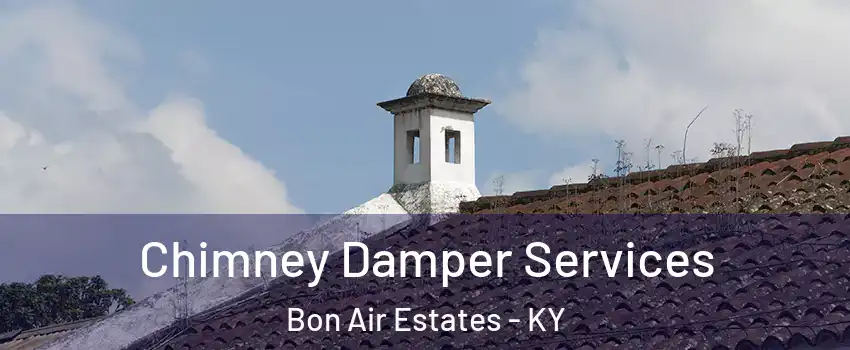 Chimney Damper Services Bon Air Estates - KY