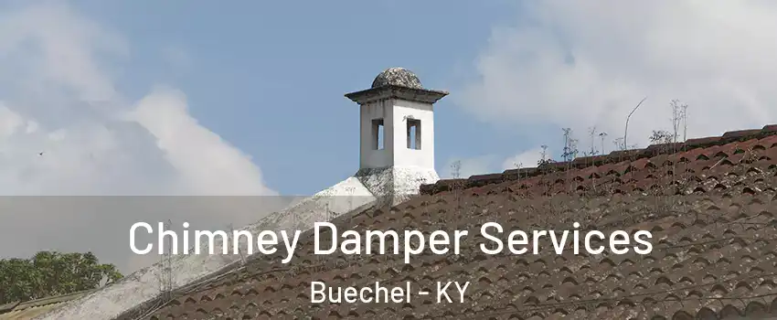 Chimney Damper Services Buechel - KY