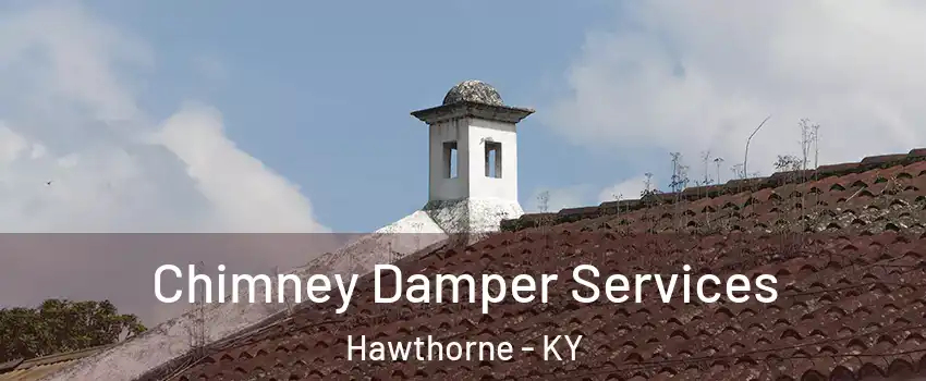 Chimney Damper Services Hawthorne - KY
