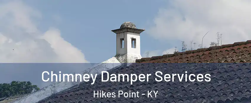 Chimney Damper Services Hikes Point - KY
