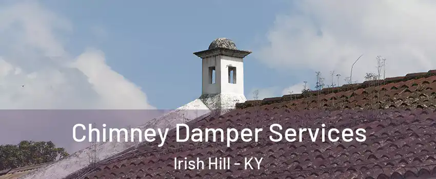 Chimney Damper Services Irish Hill - KY