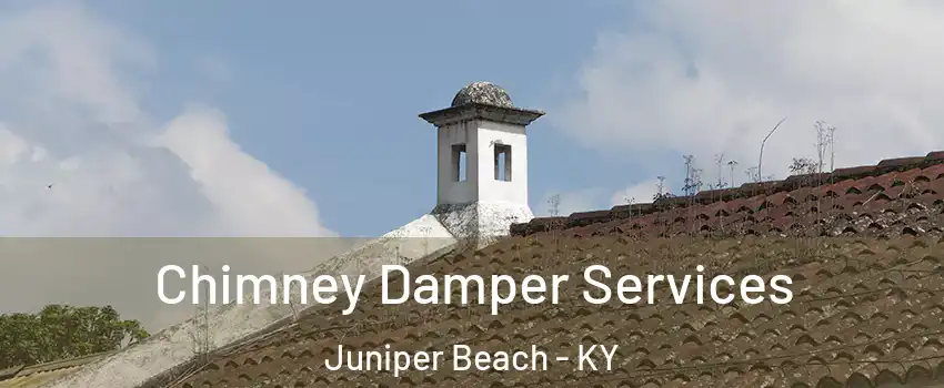 Chimney Damper Services Juniper Beach - KY