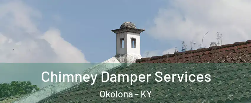 Chimney Damper Services Okolona - KY