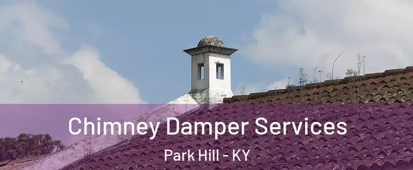 Chimney Damper Services Park Hill - KY