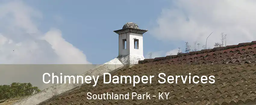Chimney Damper Services Southland Park - KY