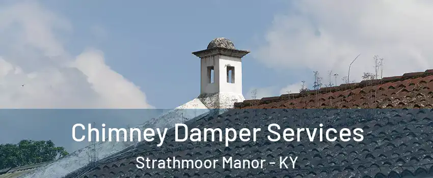 Chimney Damper Services Strathmoor Manor - KY