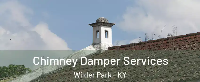 Chimney Damper Services Wilder Park - KY