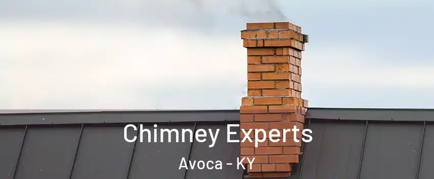 Chimney Experts Avoca - KY