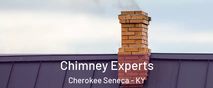 Chimney Experts Cherokee Seneca - KY