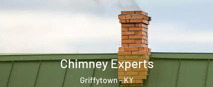 Chimney Experts Griffytown - KY
