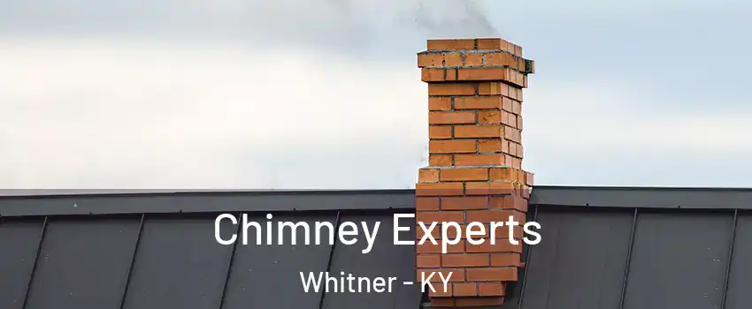 Chimney Experts Whitner - KY