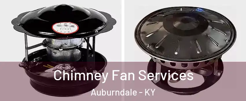 Chimney Fan Services Auburndale - KY