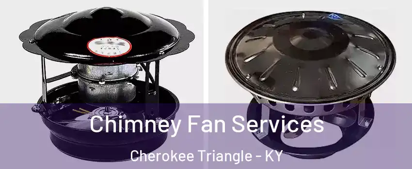 Chimney Fan Services Cherokee Triangle - KY
