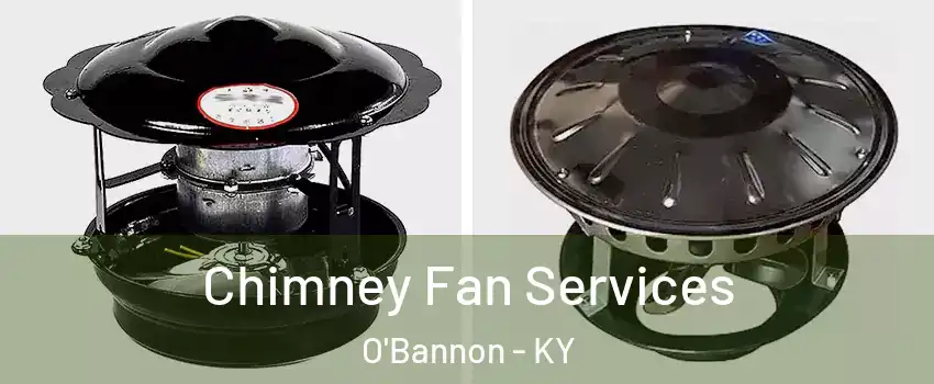 Chimney Fan Services O'Bannon - KY