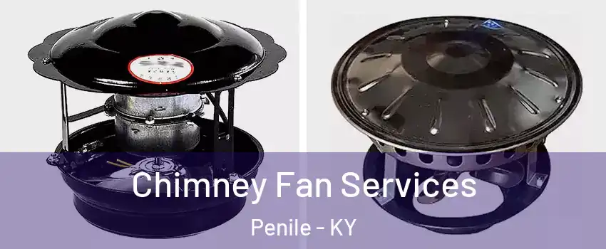 Chimney Fan Services Penile - KY