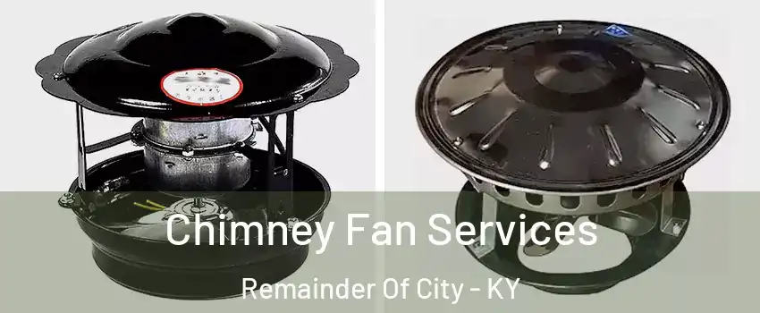 Chimney Fan Services Remainder Of City - KY