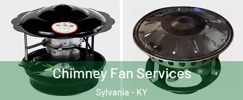 Chimney Fan Services Sylvania - KY