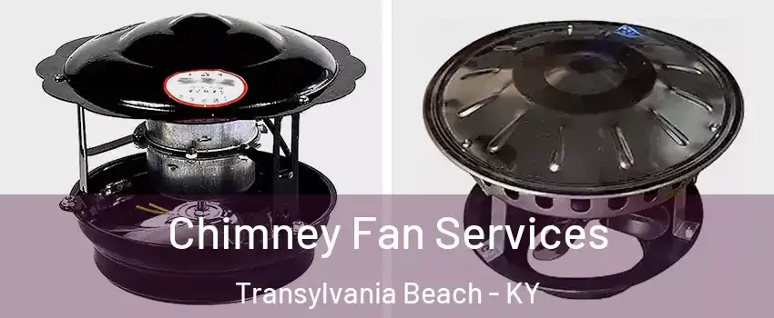 Chimney Fan Services Transylvania Beach - KY