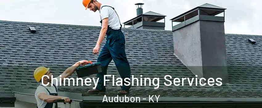 Chimney Flashing Services Audubon - KY
