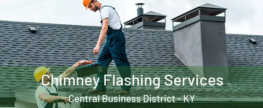 Chimney Flashing Services Central Business District - KY