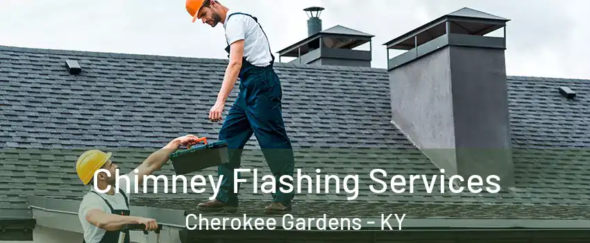 Chimney Flashing Services Cherokee Gardens - KY