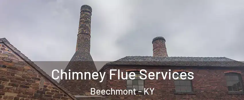 Chimney Flue Services Beechmont - KY