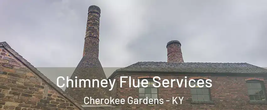 Chimney Flue Services Cherokee Gardens - KY