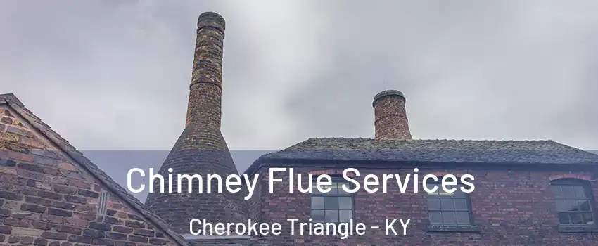 Chimney Flue Services Cherokee Triangle - KY