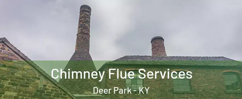 Chimney Flue Services Deer Park - KY