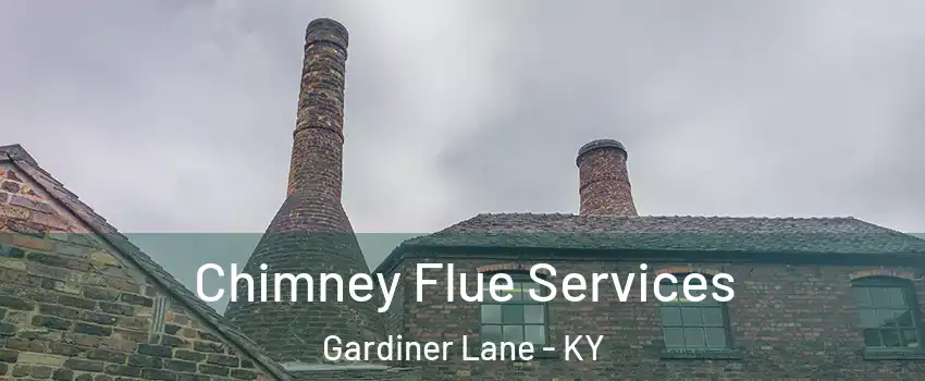Chimney Flue Services Gardiner Lane - KY
