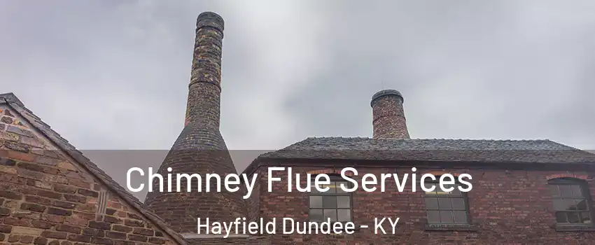 Chimney Flue Services Hayfield Dundee - KY