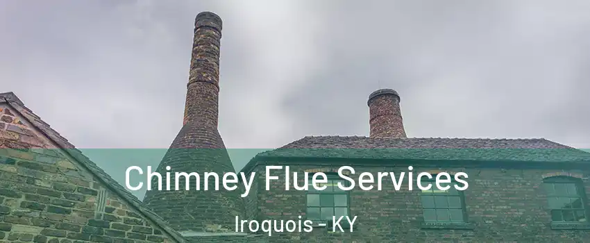 Chimney Flue Services Iroquois - KY