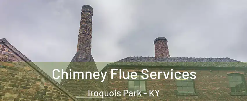 Chimney Flue Services Iroquois Park - KY