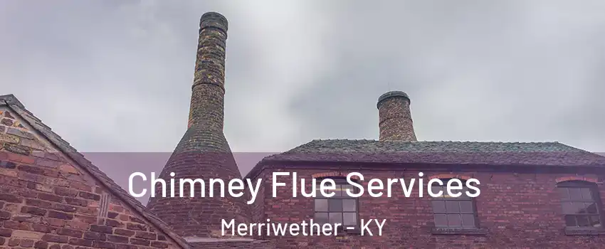 Chimney Flue Services Merriwether - KY