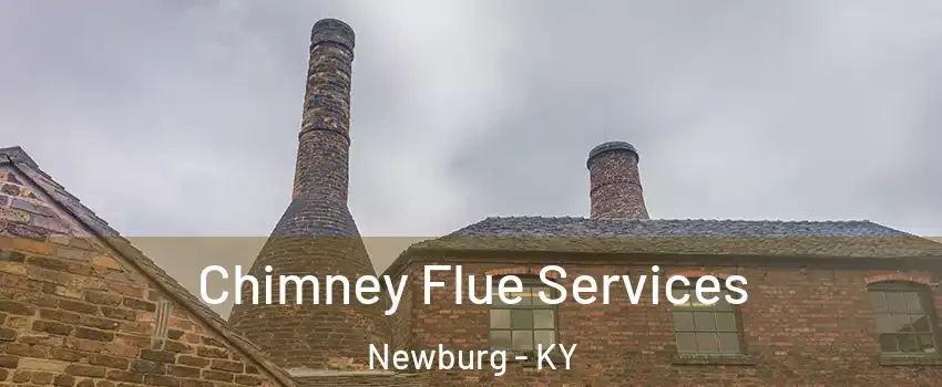 Chimney Flue Services Newburg - KY