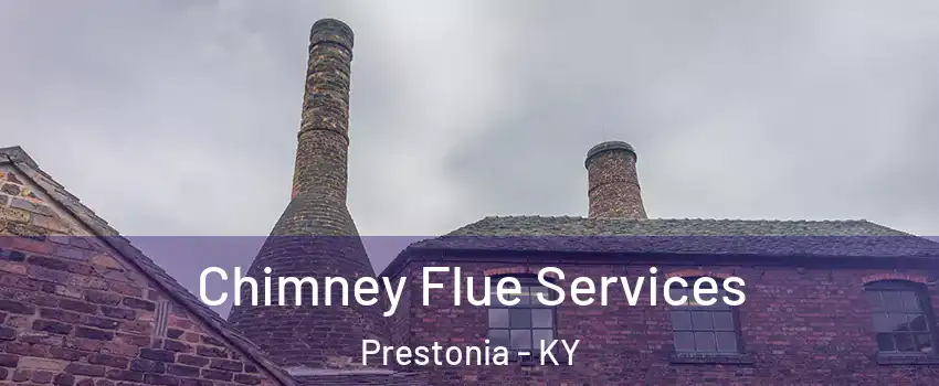Chimney Flue Services Prestonia - KY