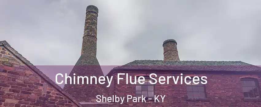Chimney Flue Services Shelby Park - KY