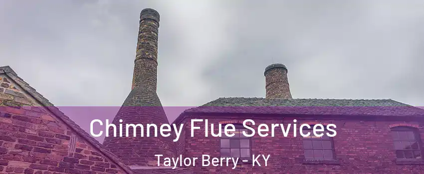 Chimney Flue Services Taylor Berry - KY