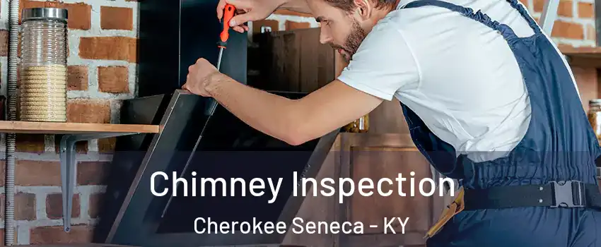 Chimney Inspection Cherokee Seneca - KY