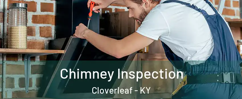 Chimney Inspection Cloverleaf - KY
