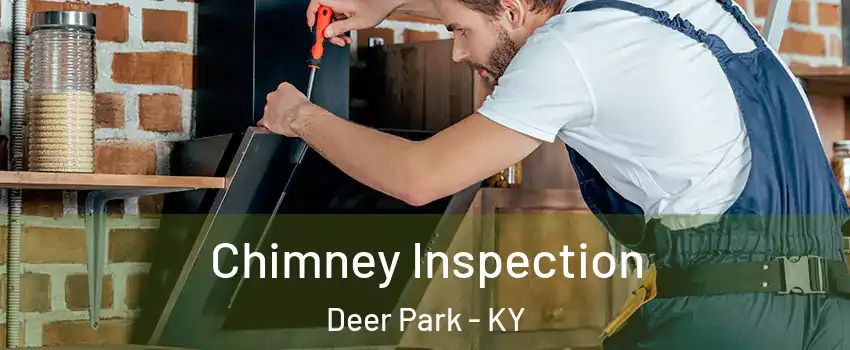 Chimney Inspection Deer Park - KY