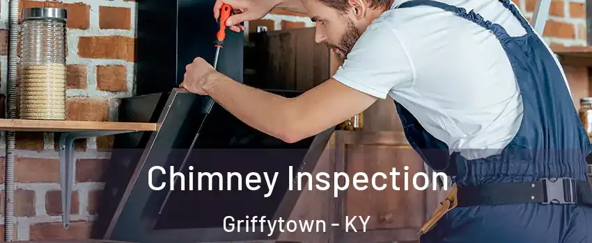 Chimney Inspection Griffytown - KY