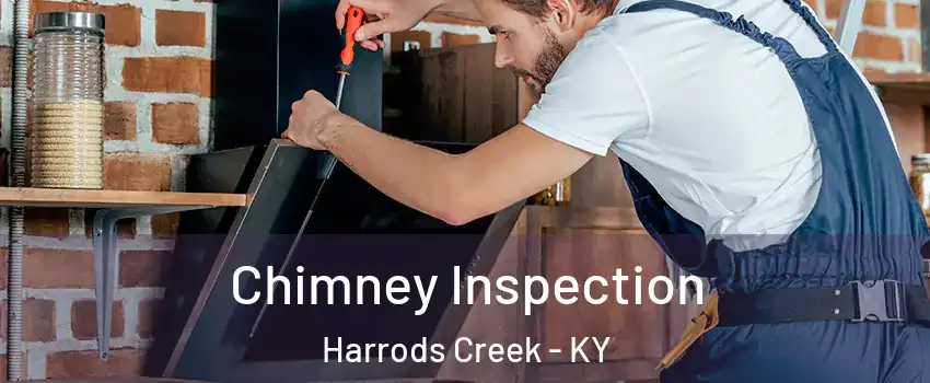 Chimney Inspection Harrods Creek - KY