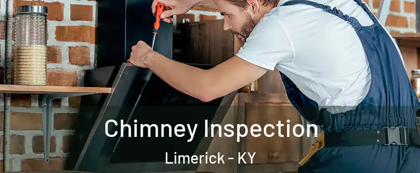 Chimney Inspection Limerick - KY